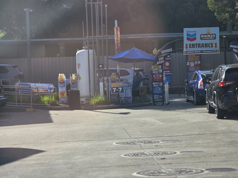 Chevron photo 5