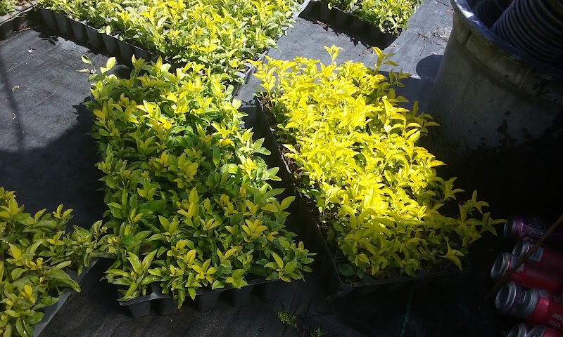Steed Farms photo 5