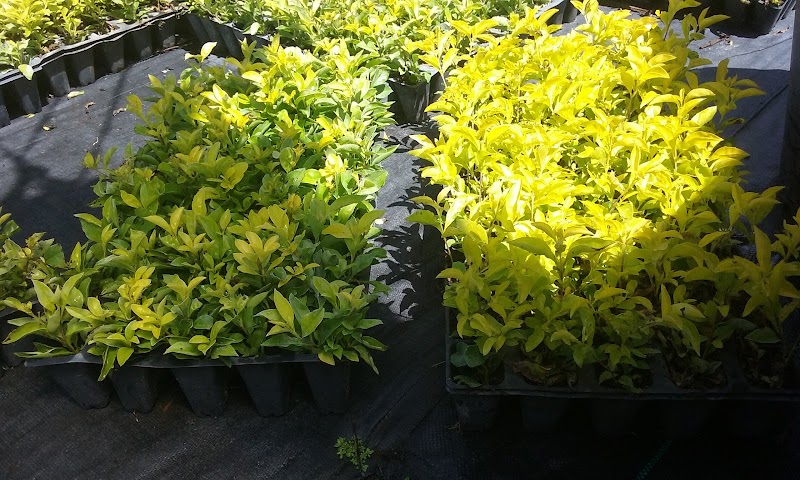 Steed Farms photo 3