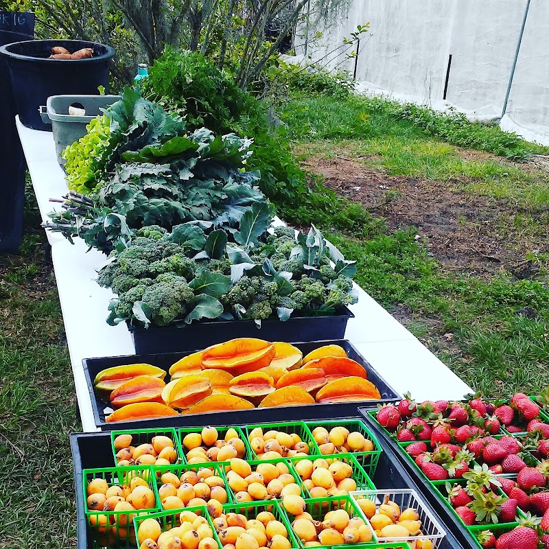 Steed Farms photo 2