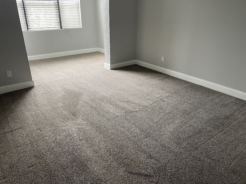 Bayside Carpet and Tile Cleaners photo 5