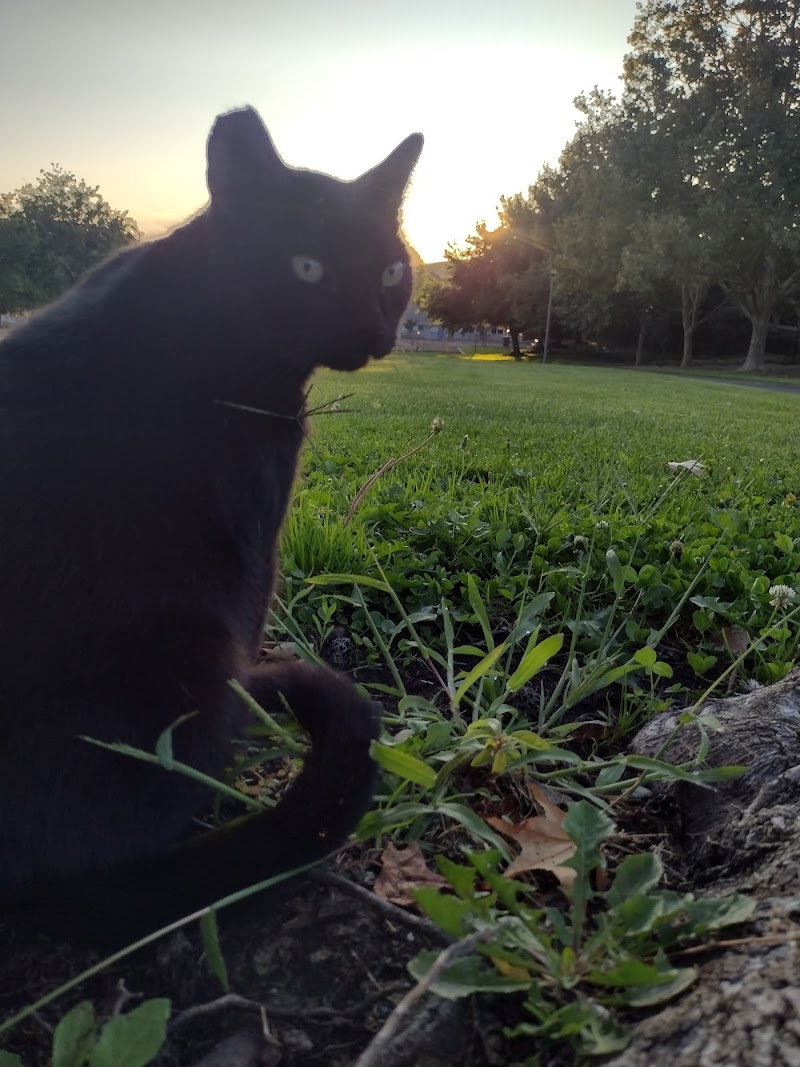 Photo of Trower Park