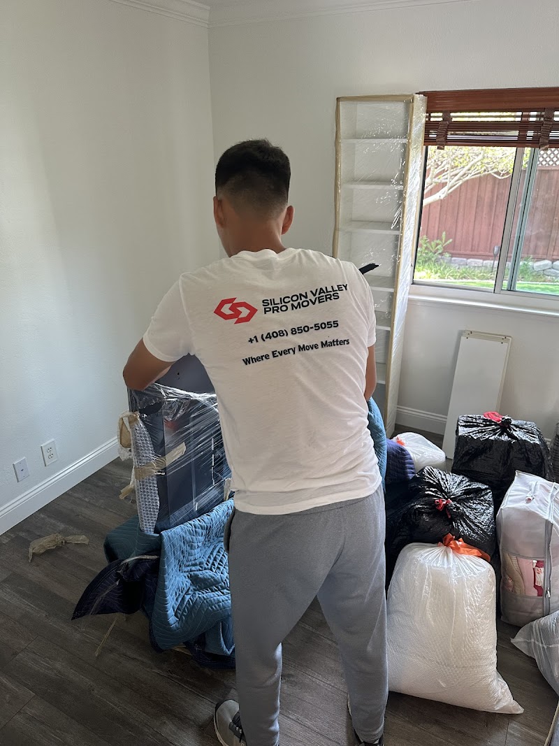 SV PRO Movers photo 2