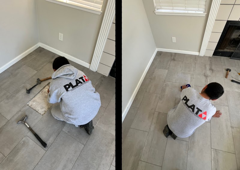 PLATA General Maintenance Services LLC photo 4