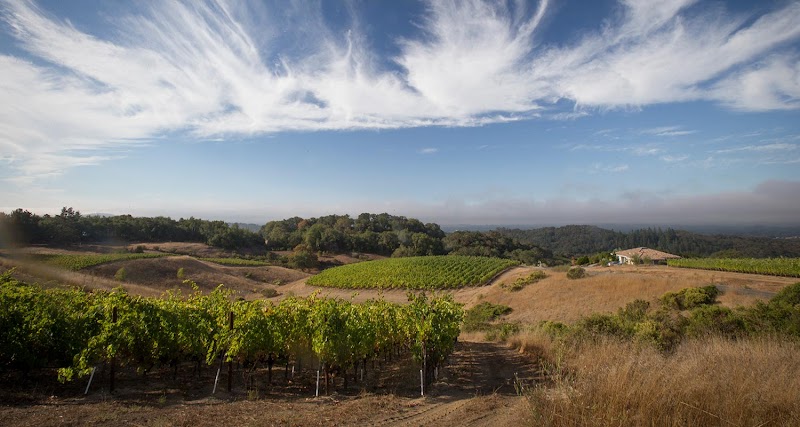 Calluna Vineyards photo 3
