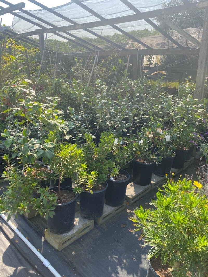 Gomez Nursery photo 3