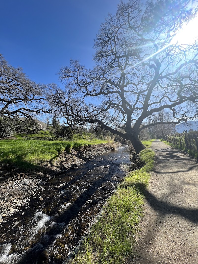 Lydia Lane Park photo 4