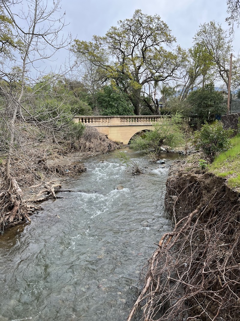 Photo of Lydia Lane Park