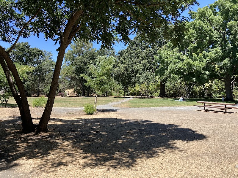 Lydia Lane Park photo 3