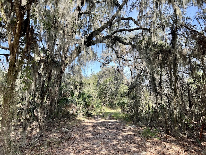 Alafia River Corridor Nature Preserve - South photo 2