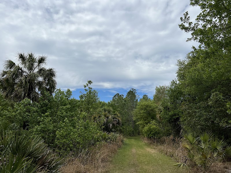 Alafia River Corridor Nature Preserve - South photo 3