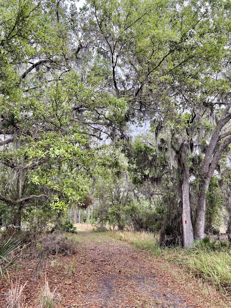 Alafia River Corridor Nature Preserve - South photo 4