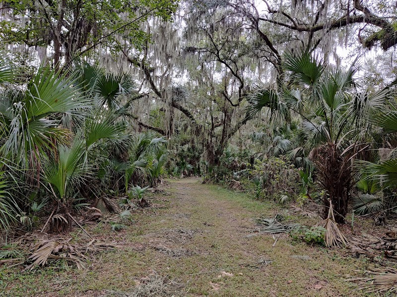 Photo of Alafia River Corridor Nature Preserve - South