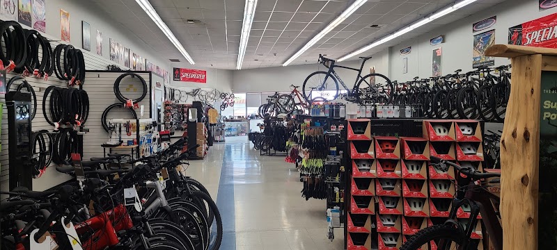 Oro Valley Bicycle - Ina & Shannon photo 5