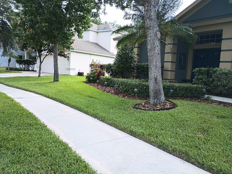 Wesley Chapel Lawn Care Service LLC photo 2