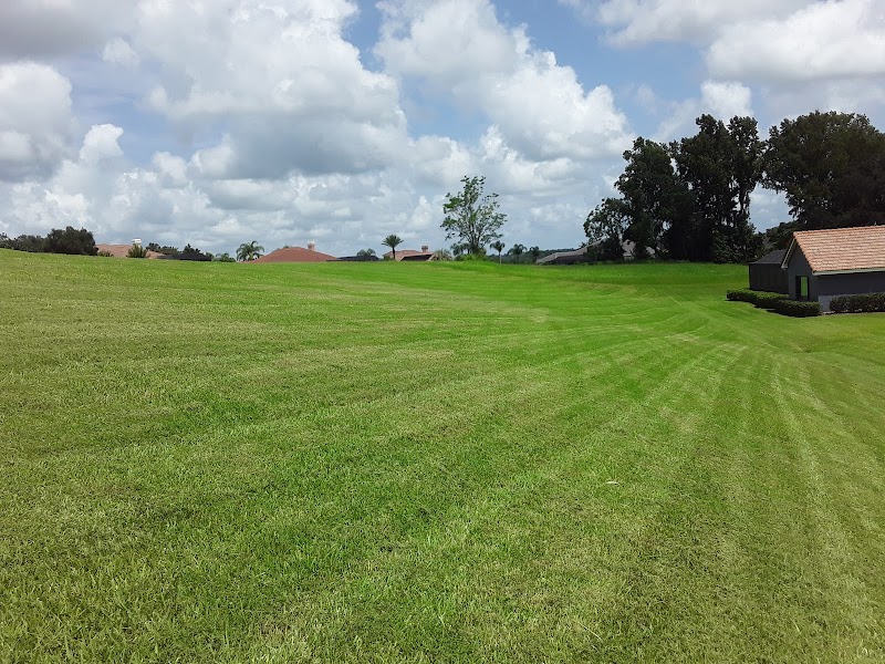 Wesley Chapel Lawn Care Service LLC photo 5