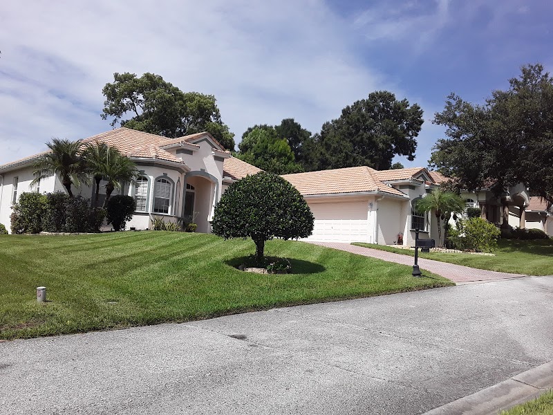 Wesley Chapel Lawn Care Service LLC photo 3