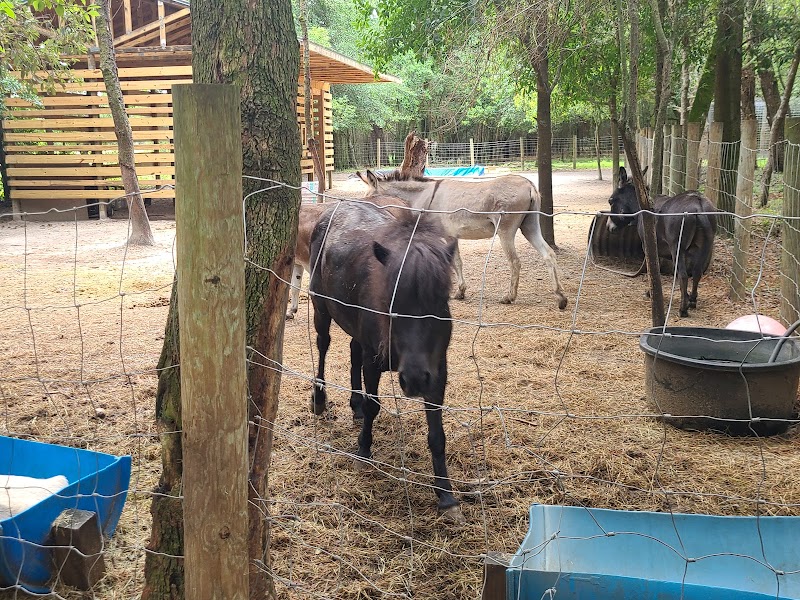 Survival Outreach Sanctuary photo 3