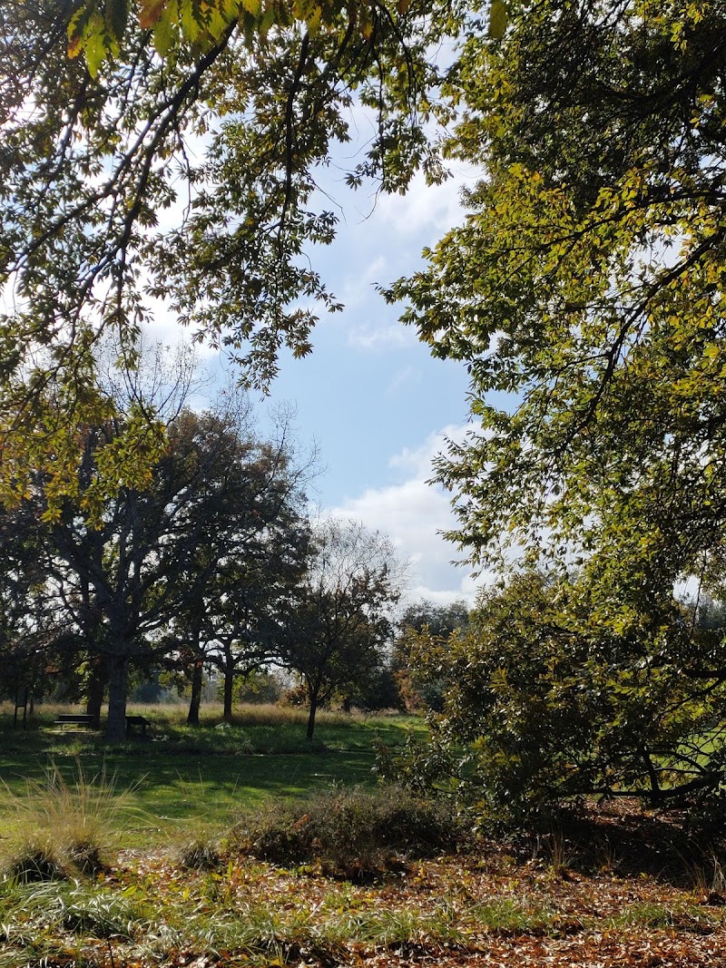 UC Davis Arboretum Gazebo photo 5