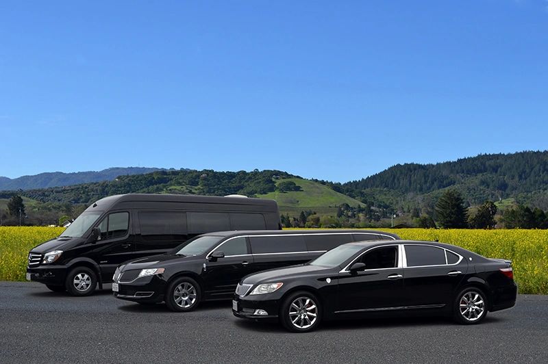Sonoma Sterling Limousines, Inc photo 5