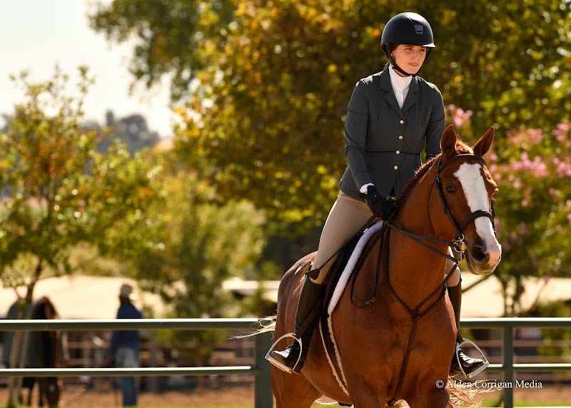 Photo of Seascape Sport Horses