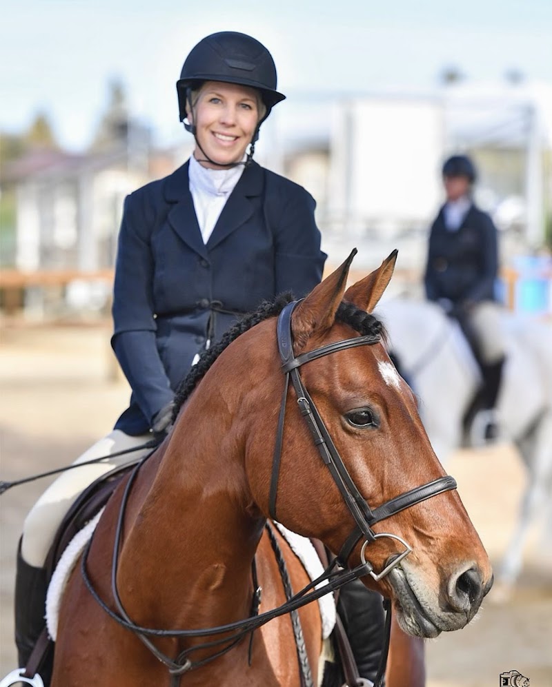 Seascape Sport Horses photo 2