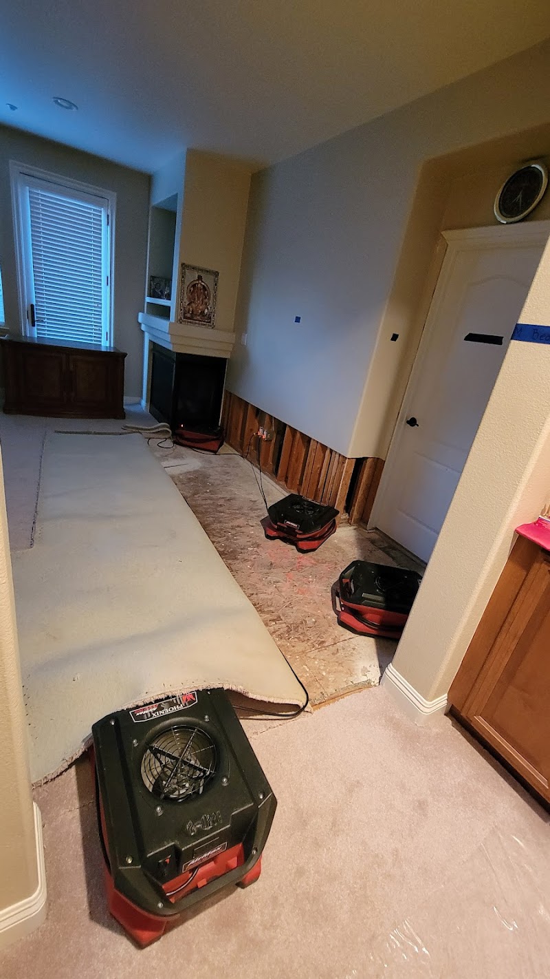 Restoration Management Company photo 2