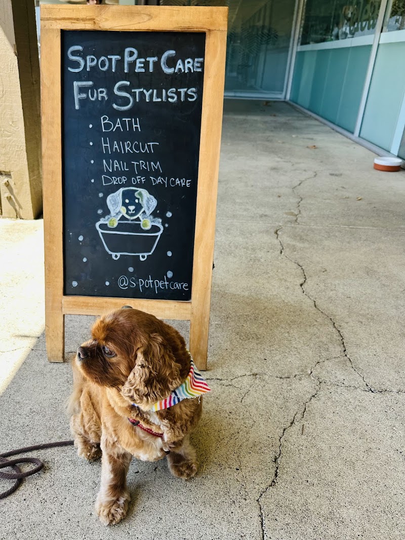Spot Pet Care photo 4