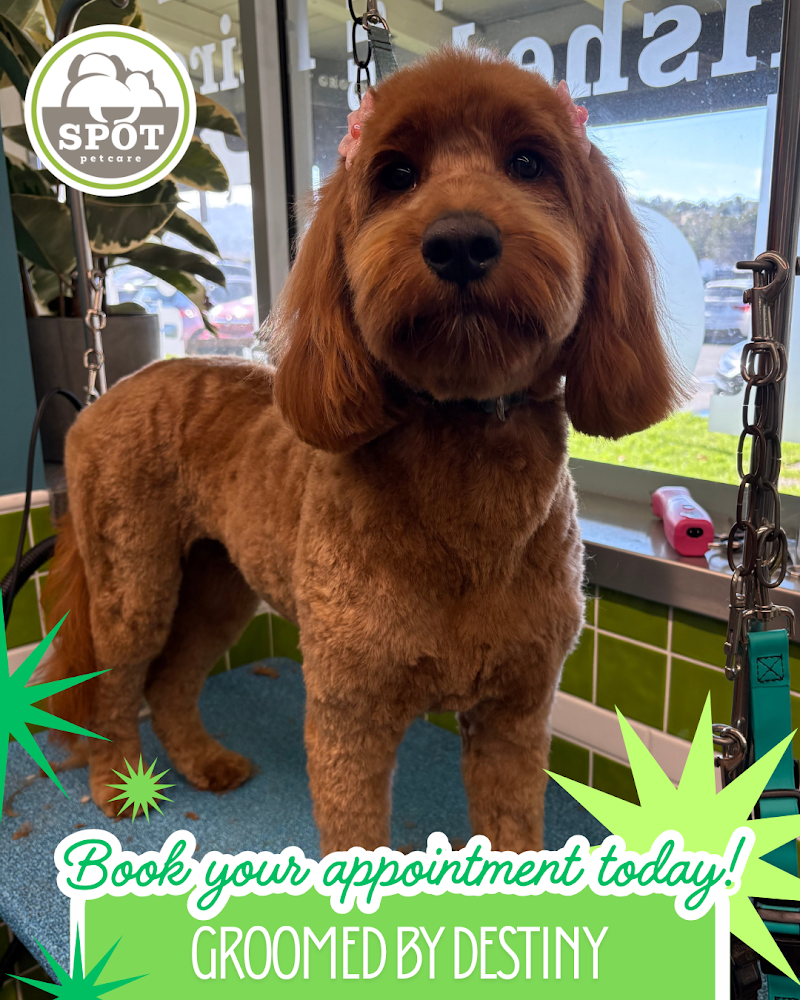 Photo of Spot Pet Care