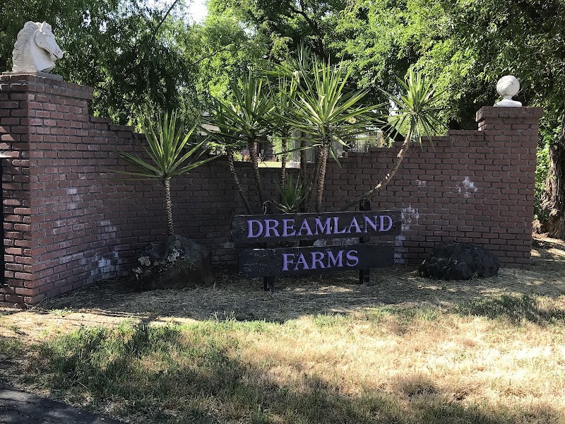 Photo of Dreamland Farms