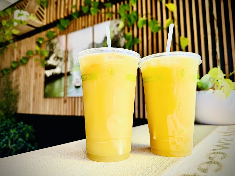Sugarcane HQ photo 2