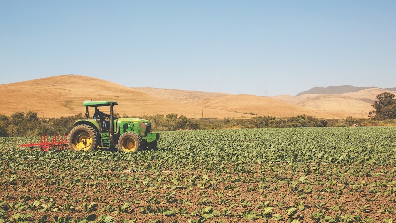 Photo of Spinaca Farms Inc