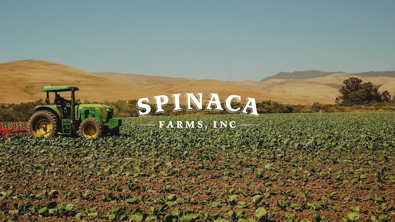 Spinaca Farms Inc photo 3