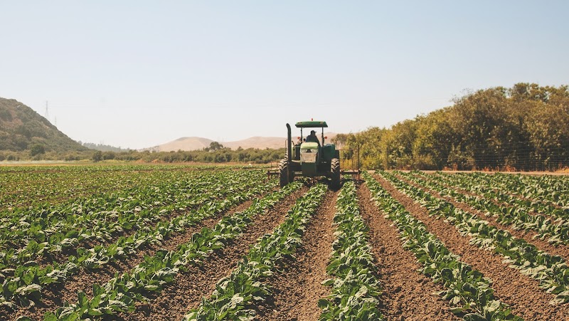 Spinaca Farms Inc photo 2