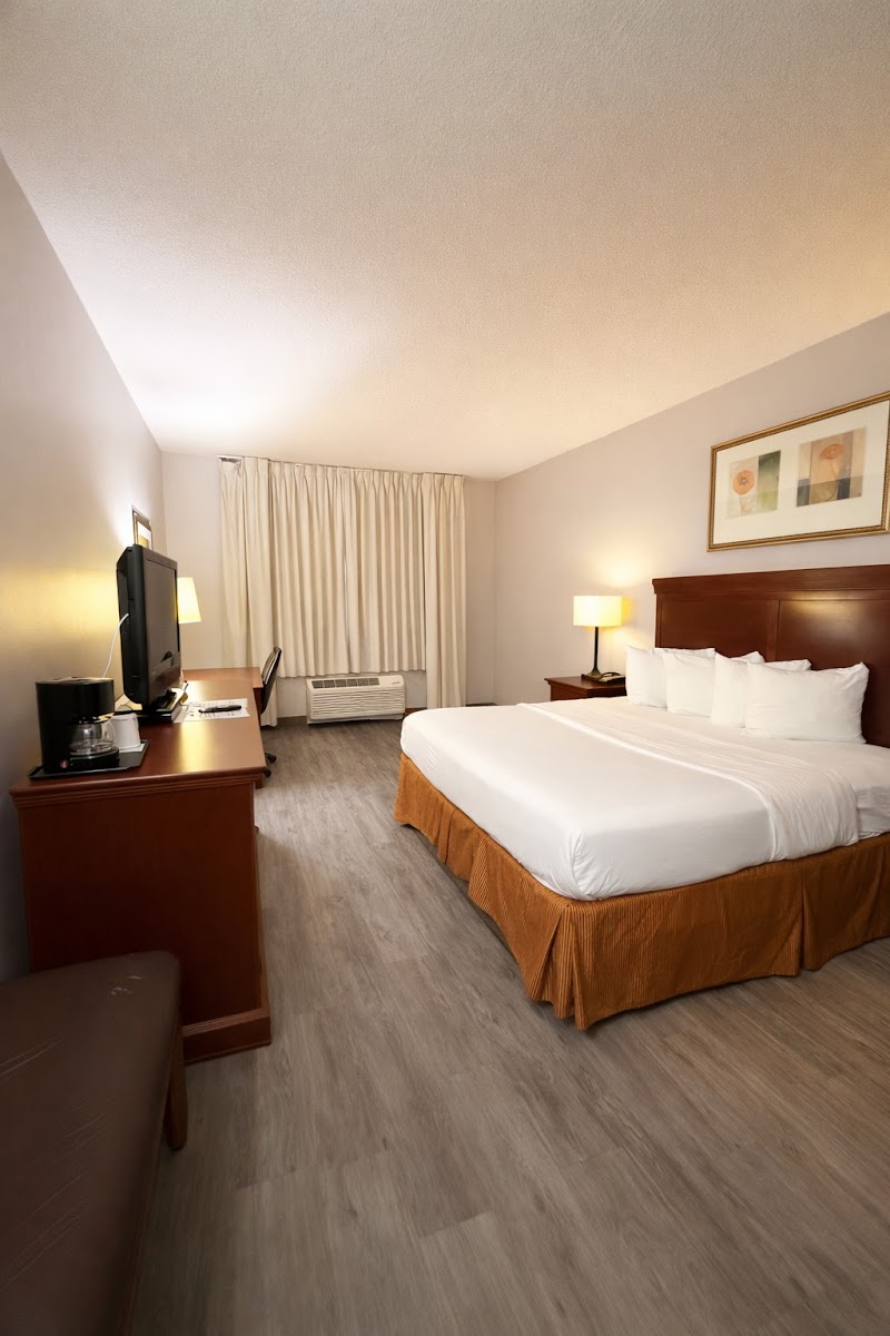Seffner Inn and Suites photo 5