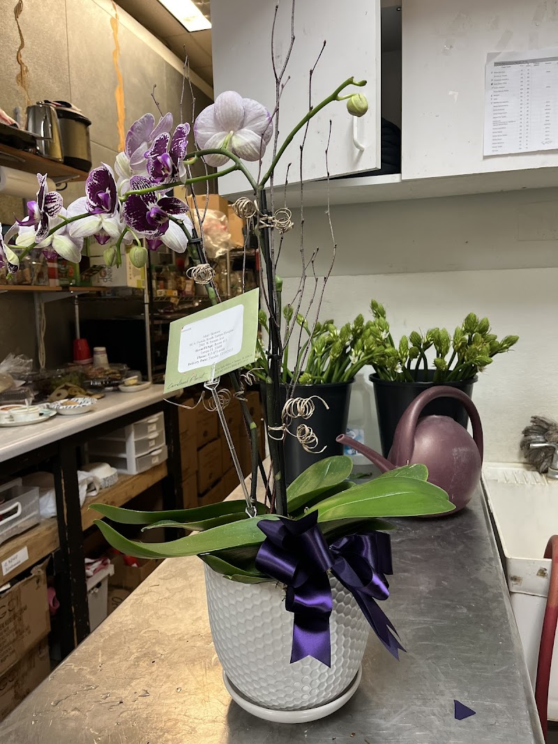 Carrollwood Florist photo 5