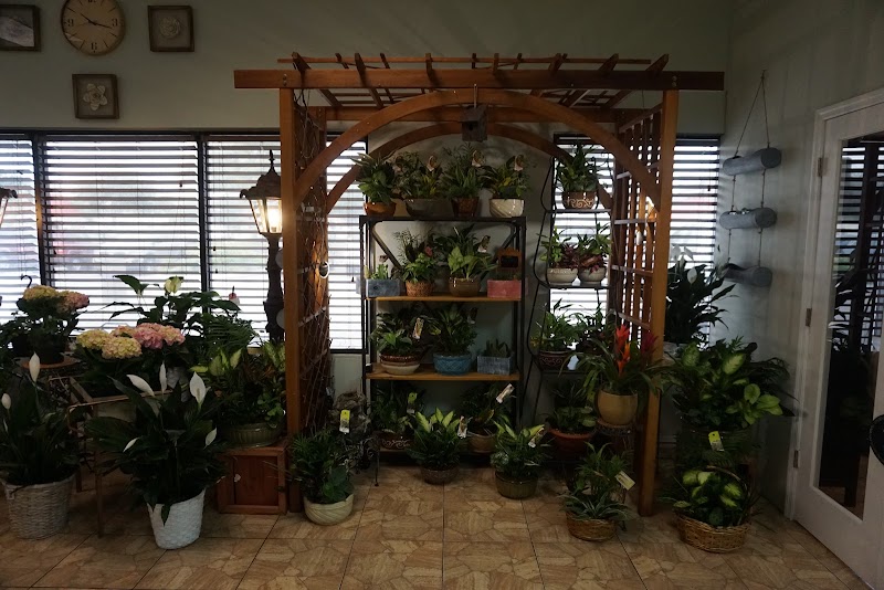 Carrollwood Florist photo 4