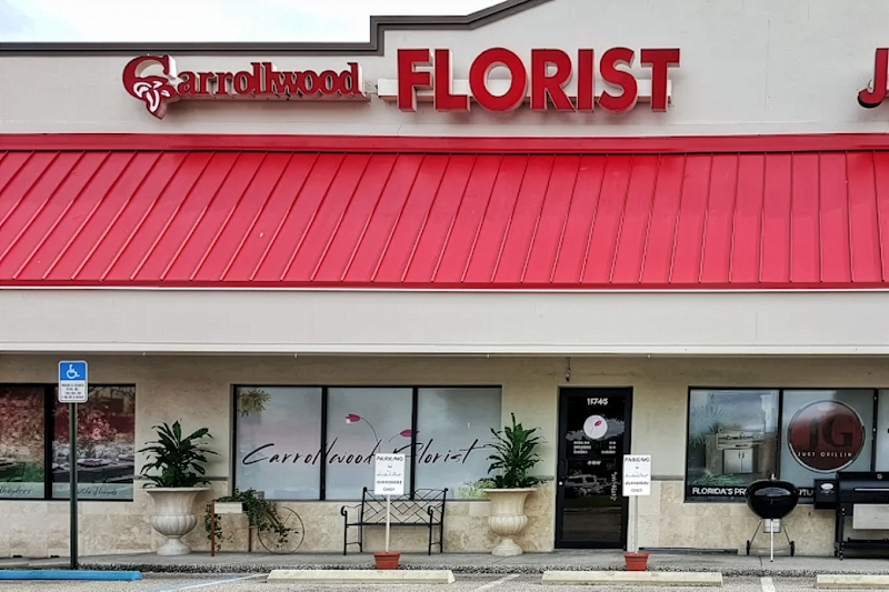 Carrollwood Florist