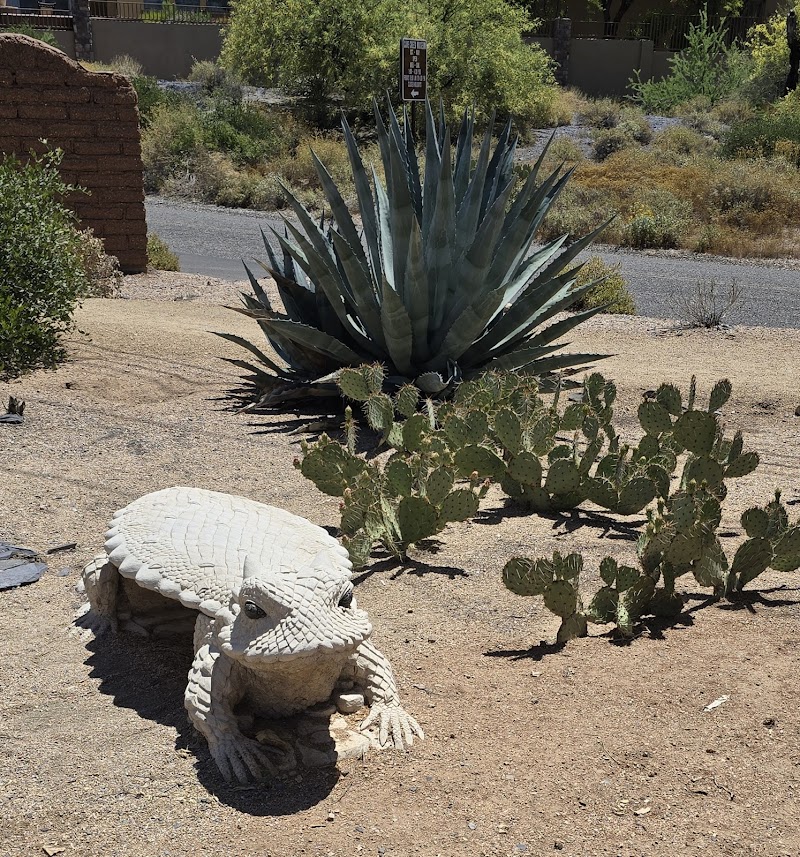 Cave Creek Museum photo 4