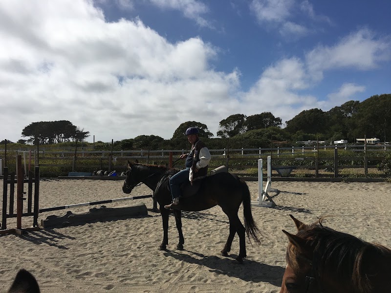 Photo of Maloney's Horses and Ponies