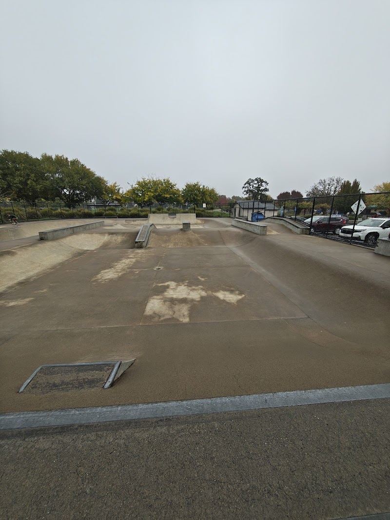Pat Elsbree Skate Park photo 3