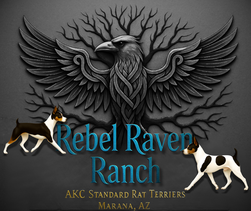 Photo of Rebel Raven Ranch