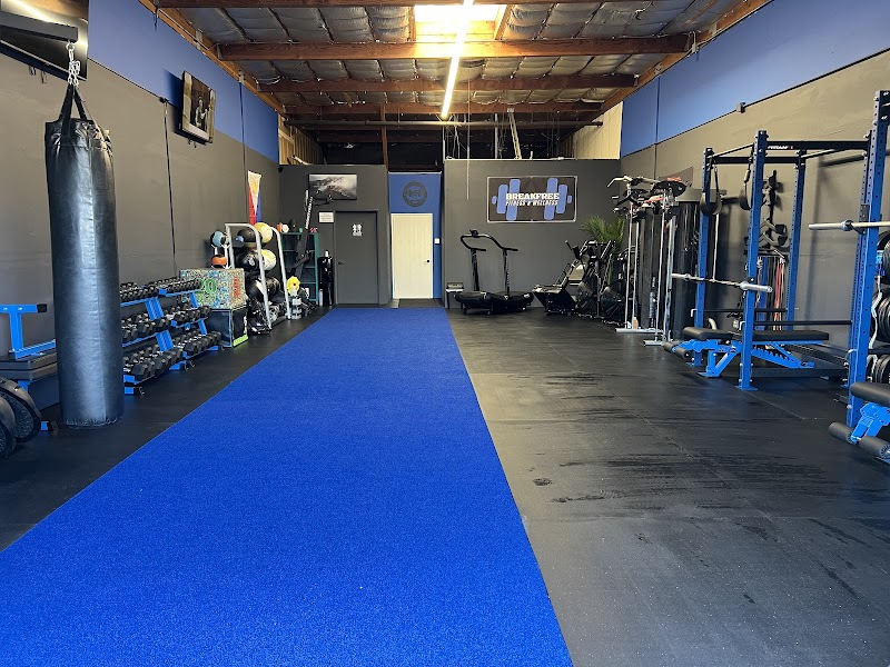 Photo of BreakFree Fitness and Wellness