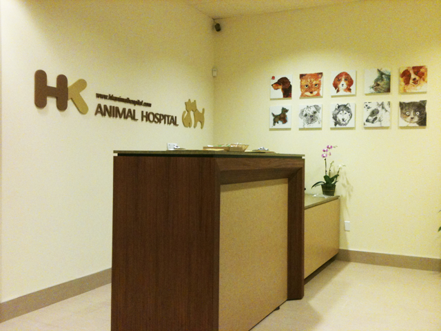 HK Animal Hospital photo 3
