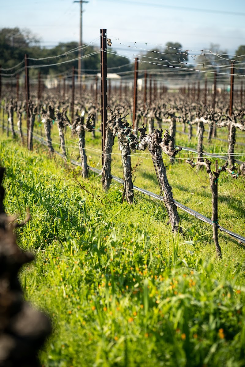James Cole Winery photo 5