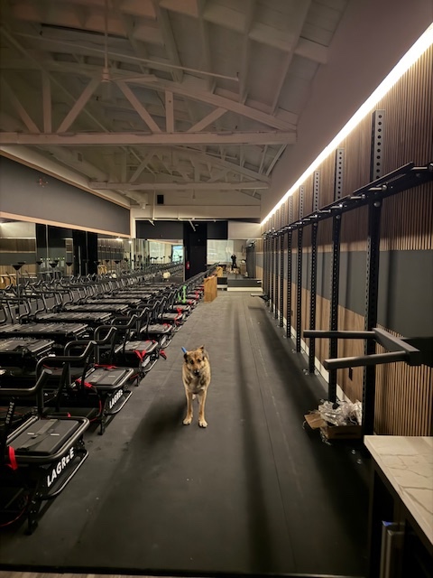 Criminal Fitness photo 5