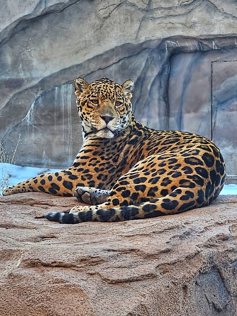 Bearizona Wildlife Park photo 3