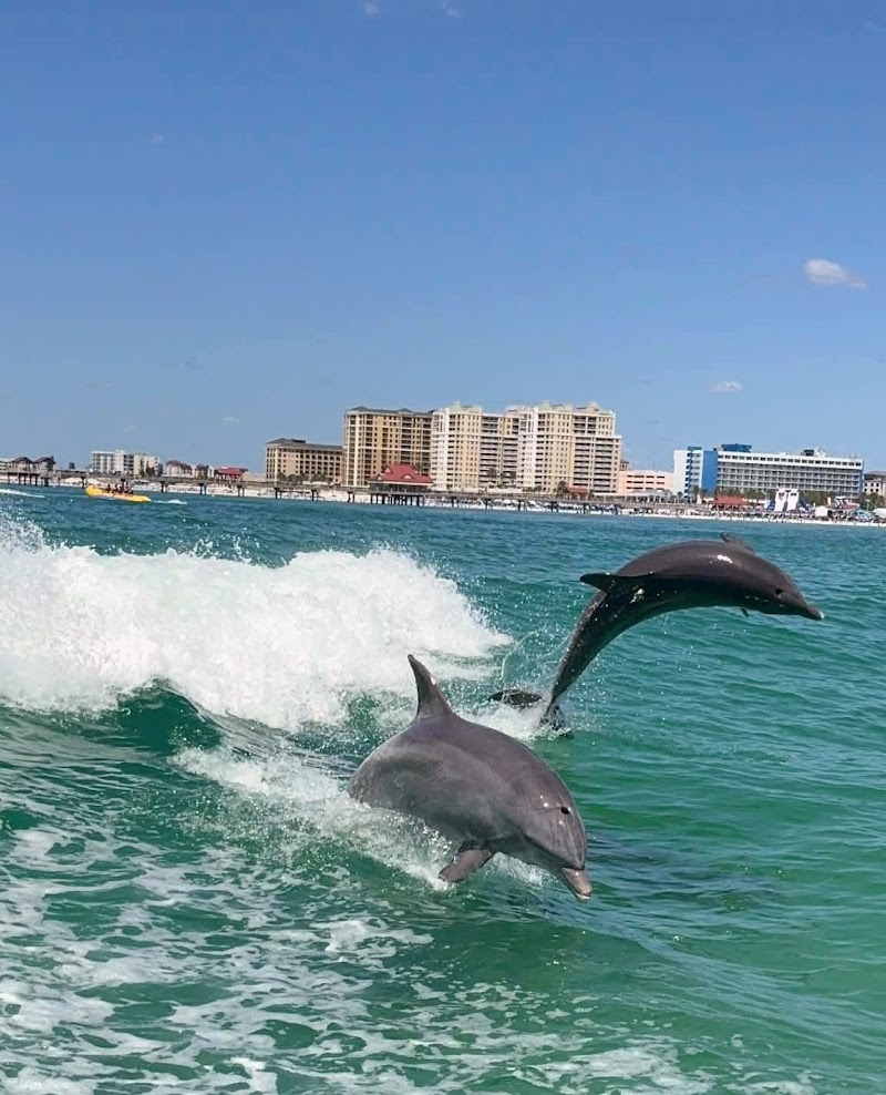 Photo of Sea Screamer of Clearwater