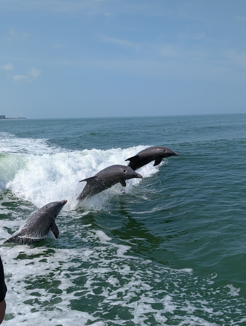 Sea Screamer of Clearwater photo 3