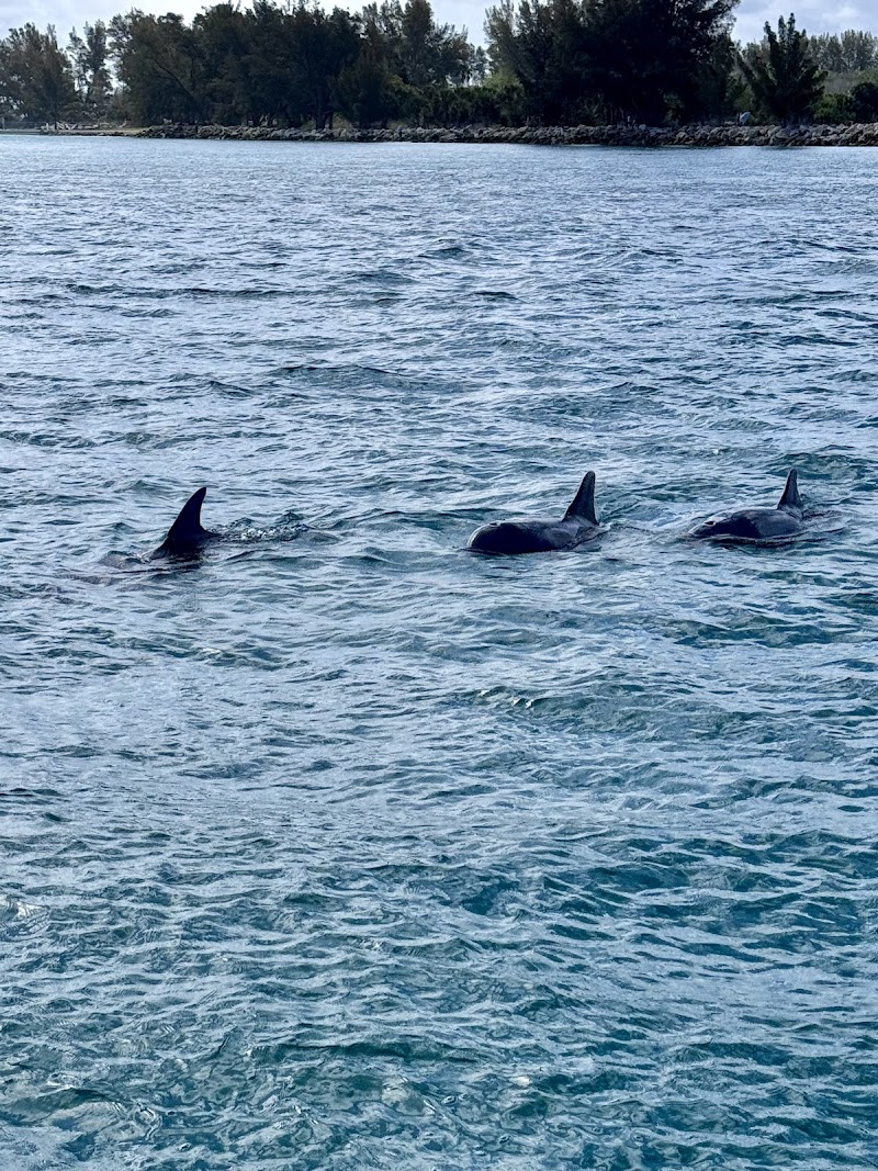 Sea Screamer of Clearwater photo 4